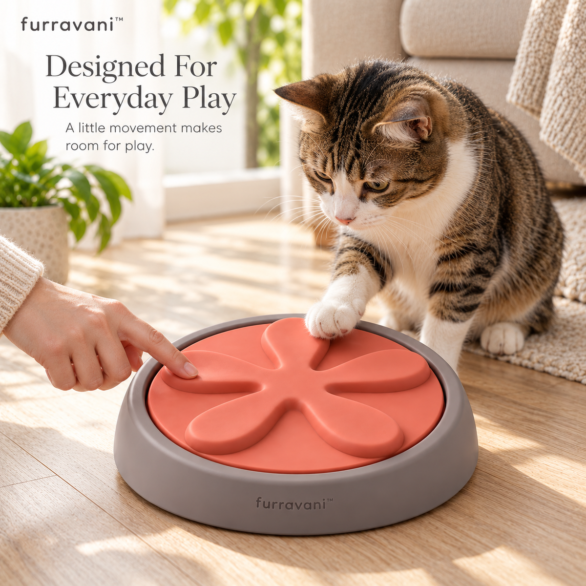 furravani™ Petal Play Wheel